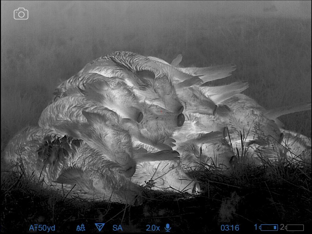 Killer Thermal Scope: Full Review of the Pulsar Thermion 2 XP50 Killer Thermal Scope: Full Review of the Pulsar Thermion 2 XP50