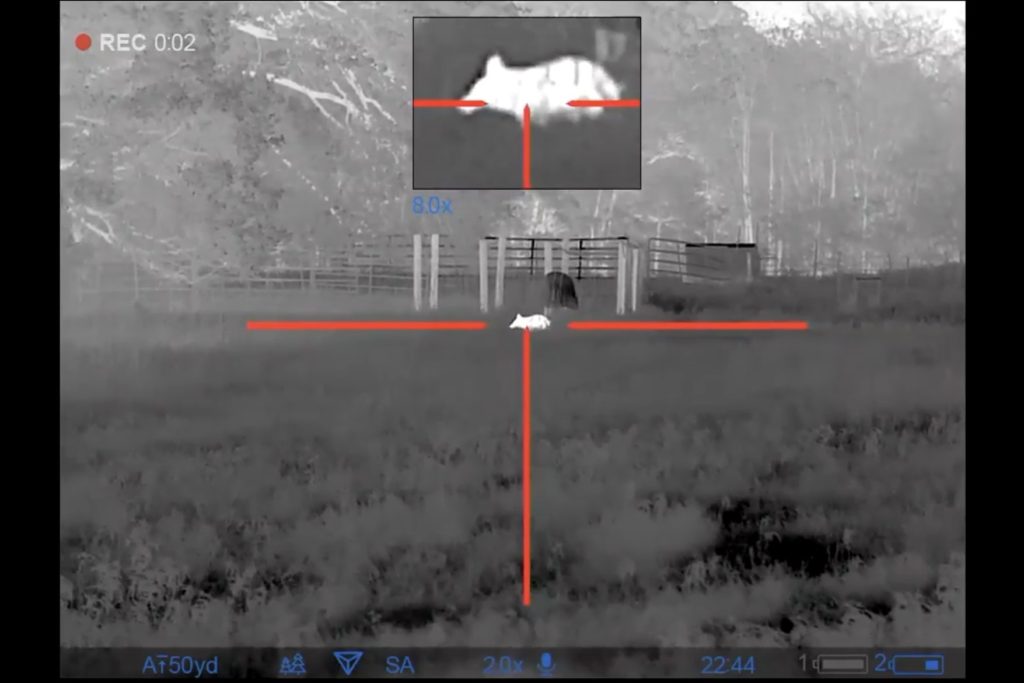 Killer Thermal Scope: Full Review of the Pulsar Thermion 2 XP50 Killer Thermal Scope: Full Review of the Pulsar Thermion 2 XP50