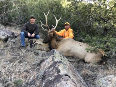 New Study Details How Utah Elk Outsmart Hunters