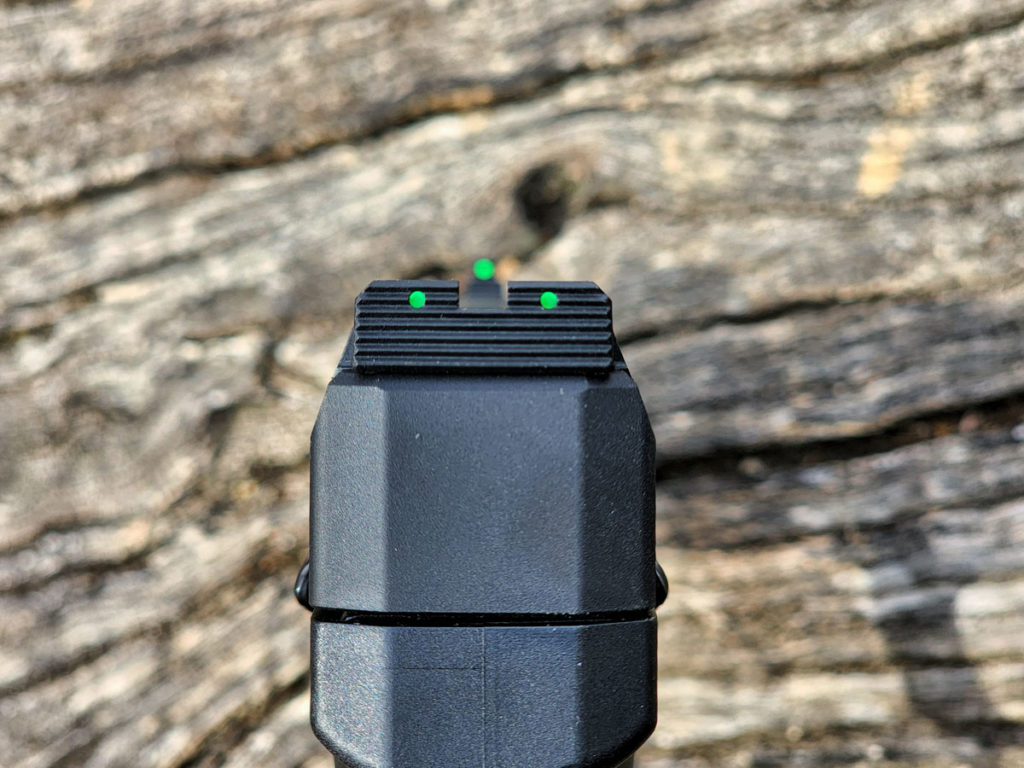 SIG's NEW P322 Rimfire - Fully Tested w/18 Different Types of Ammo!