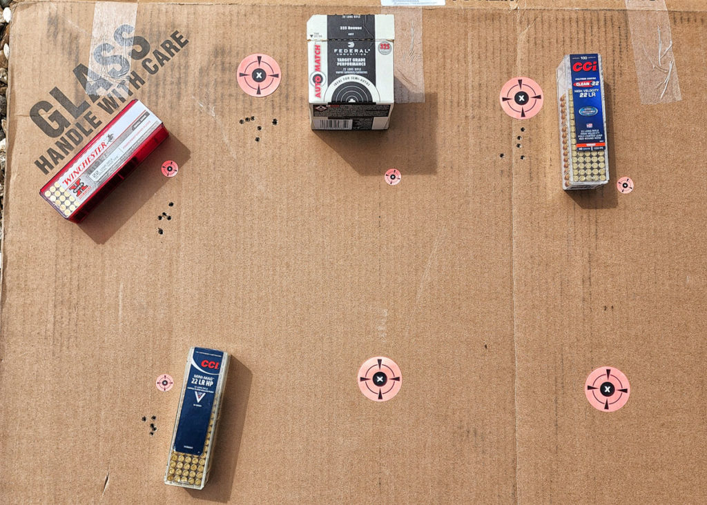 SIG's NEW P322 Rimfire - Fully Tested w/18 Different Types of Ammo!