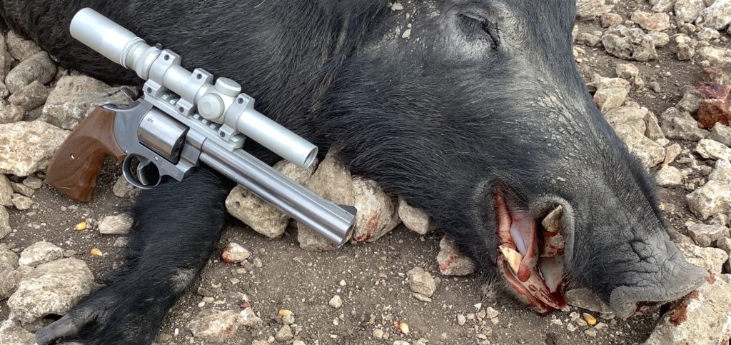 Handgunning Hogs: 357’s & 41’s