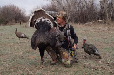 Tag A Pressured Public-Land Longbeard with Archery Tackle