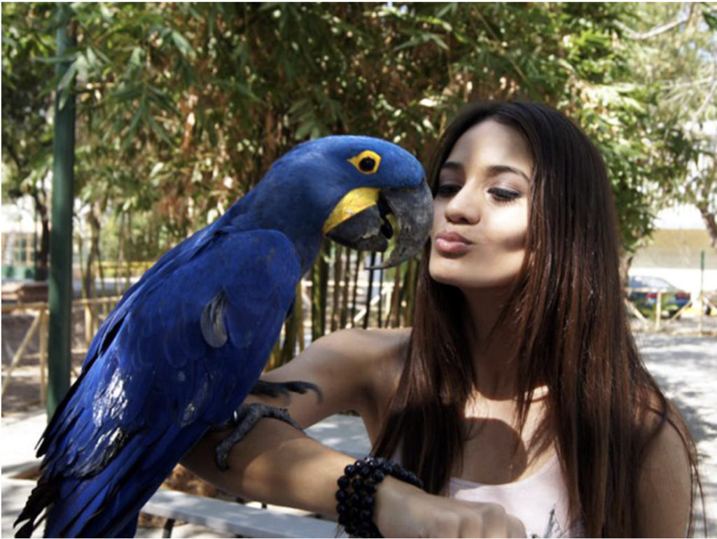 Maria Susan Flores Gamez: Beauty and the Beasts Maria Susan Flores Gamez: Beauty and the Beasts