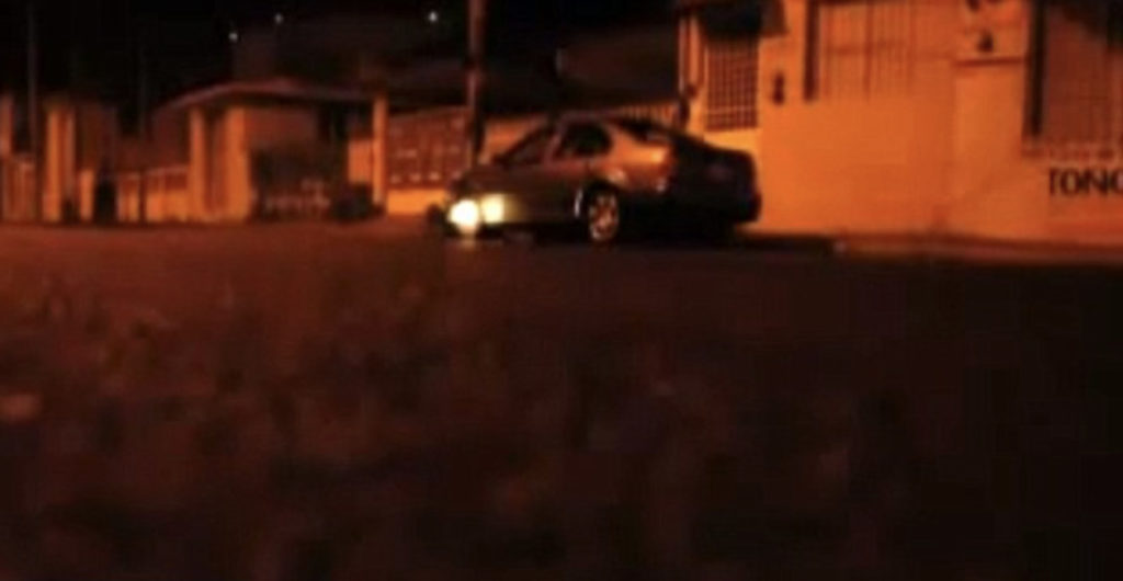 Maria Susan Flores Gamez: Beauty and the Beasts Maria Susan Flores Gamez: Beauty and the Beasts