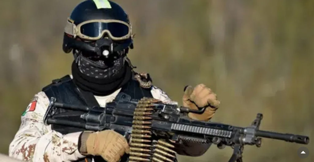 Maria Susan Flores Gamez: Beauty and the Beasts Maria Susan Flores Gamez: Beauty and the Beasts