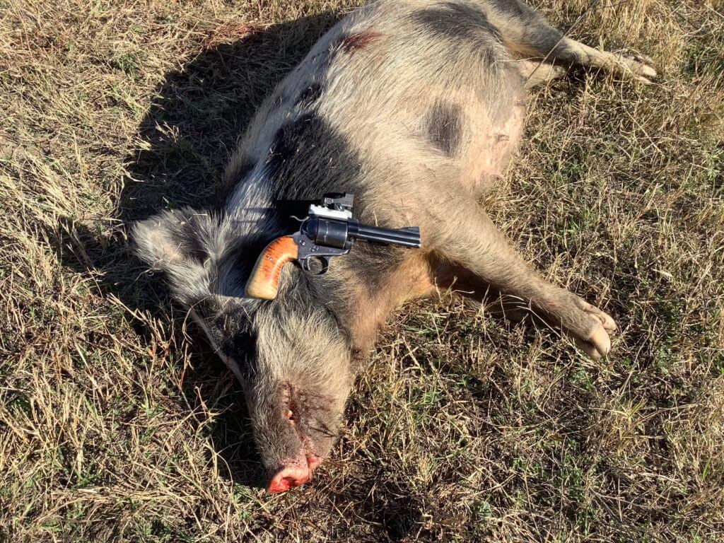 Review: Hornady Handgun Hunter Ammunition Review: Hornady Handgun Hunter Ammunition