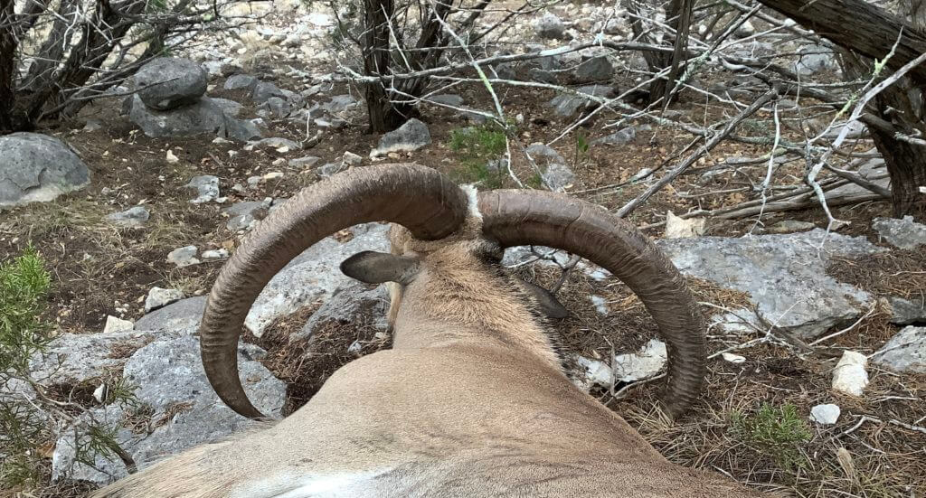 Review: Hornady Handgun Hunter Ammunition Review: Hornady Handgun Hunter Ammunition