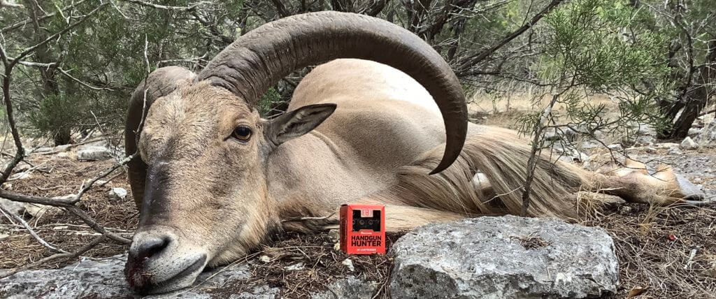 Review: Hornady Handgun Hunter Ammunition Review: Hornady Handgun Hunter Ammunition