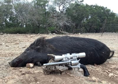 Handgunning Hogs: .475’s & 500’s