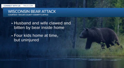 Wisconsin Household Attacked by Bear, Couple Still Recovering