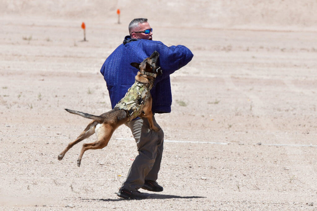 Sig Freedom Days – Media Day for the Masses! Sig Freedom Days – Media Day for the Masses!