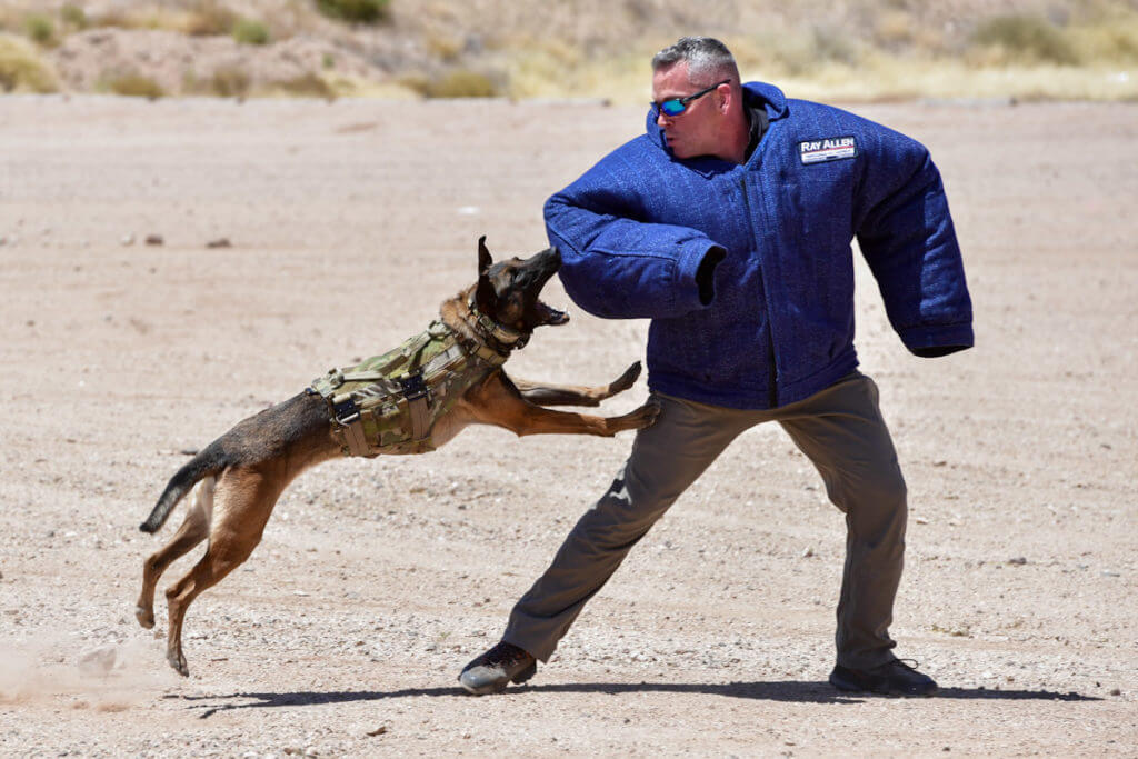 Sig Freedom Days – Media Day for the Masses! Sig Freedom Days – Media Day for the Masses!