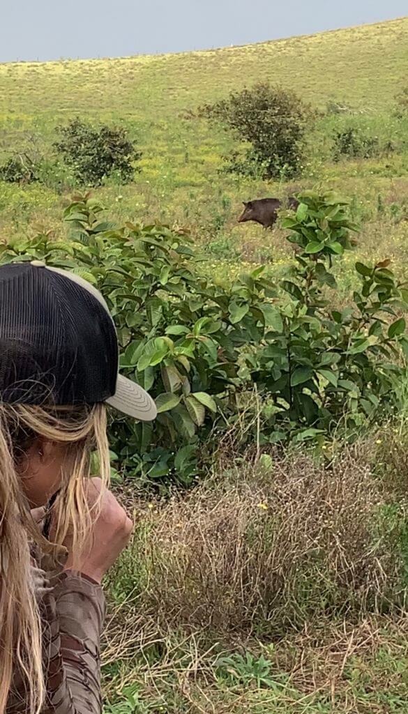 Offshore Hunting Paradise - Free Range Hunt-Cationing in the Hawaiian Islands Offshore Hunting Paradise - Free Range Hunt-Cationing in the Hawaiian Islands