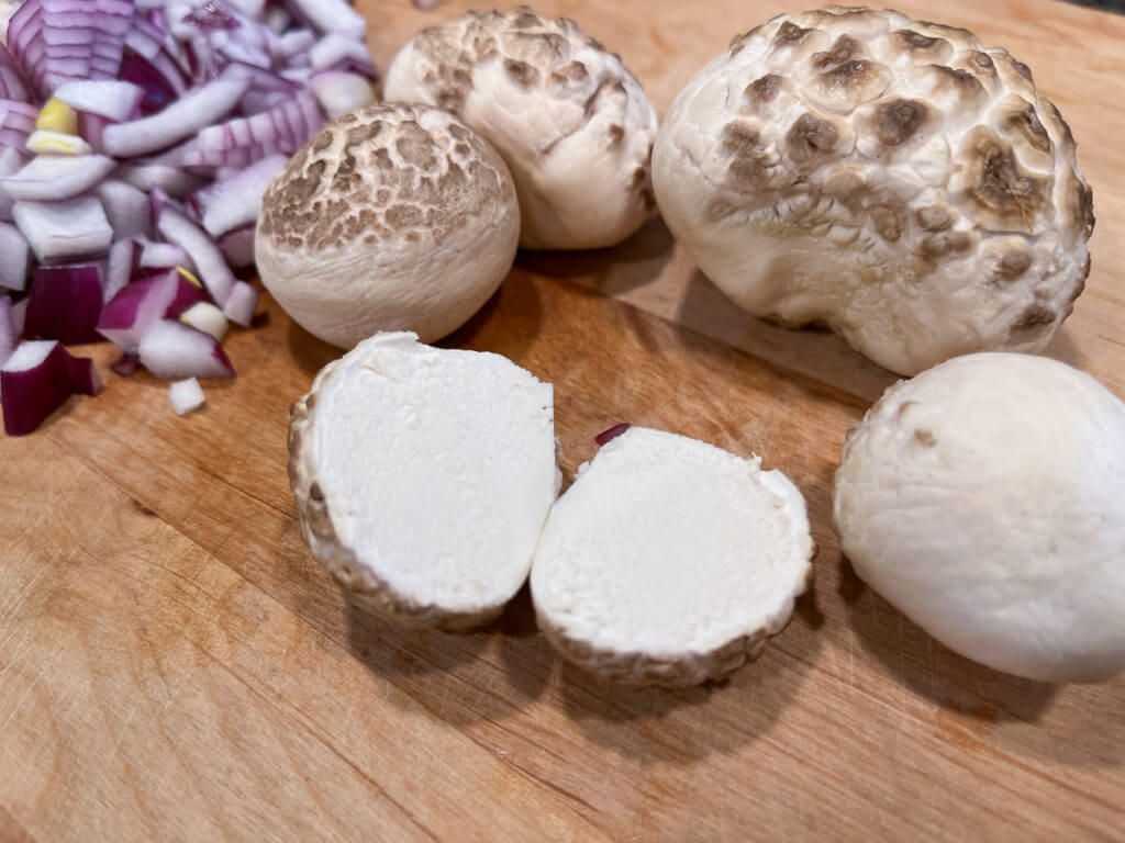 Simple Gourmet: Bear Stroganoff with Wild Mushrooms Simple Gourmet: Bear Stroganoff with Wild Mushrooms