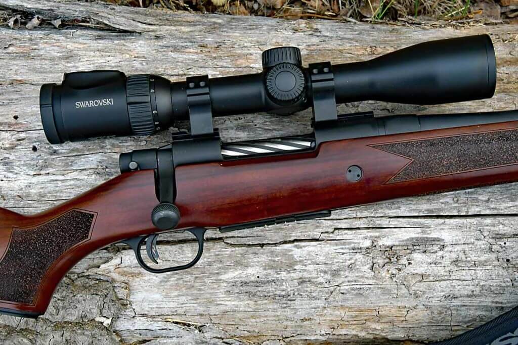 Doubling Down on Big Bears in Alberta