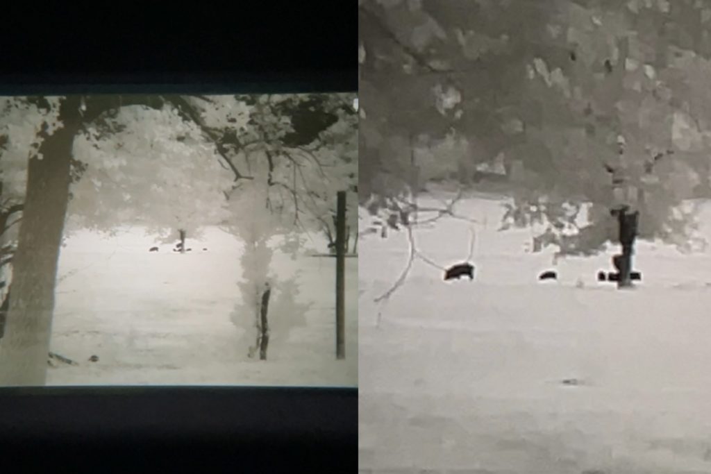 Predator Mode Activated: Duel iRay MH25 Thermal Monoculars Predator Mode Activated: Duel iRay MH25 Thermal Monoculars