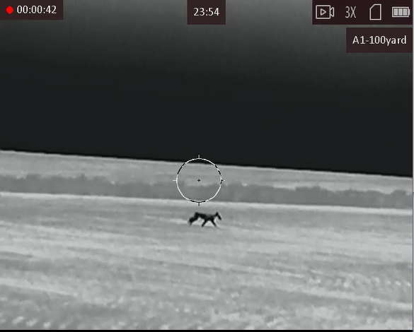 Testing the new AGM Adder TS35-384 Testing the new AGM Adder TS35-384