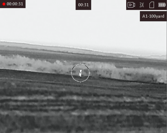 Testing the new AGM Adder TS35-384 Testing the new AGM Adder TS35-384