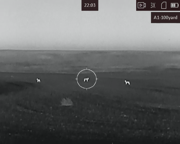 Testing the new AGM Adder TS35-384 Testing the new AGM Adder TS35-384