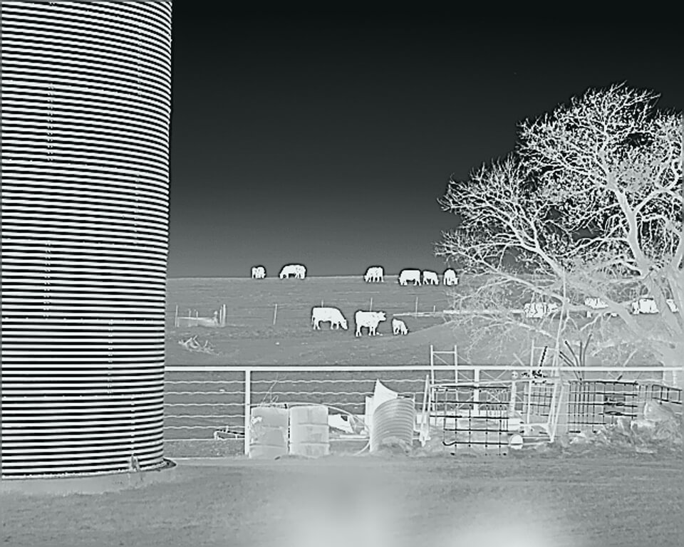 InfiRay RH25 Multi-Purpose Thermal Monocular InfiRay RH25 Multi-Purpose Thermal Monocular