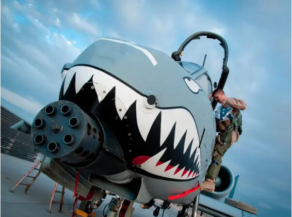 A-10 Warthog front view of painted mouth