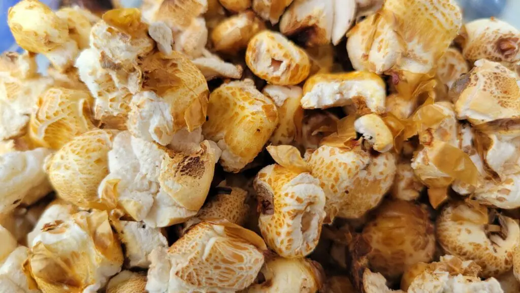 An X-Mas & Chanukah List from Grid Down (Prepping 101) An X-Mas & Chanukah List from Grid Down (Prepping 101)