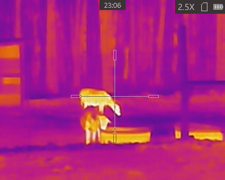 Is Cheap Thermal Worth It? Testing the AGM TS19-256 Is Cheap Thermal Worth It? Testing the AGM TS19-256