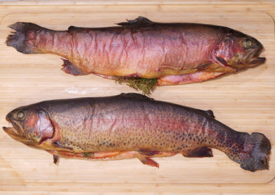 Simple Gourmet: Smoked Trout with Pepper Jelly 2 Ways