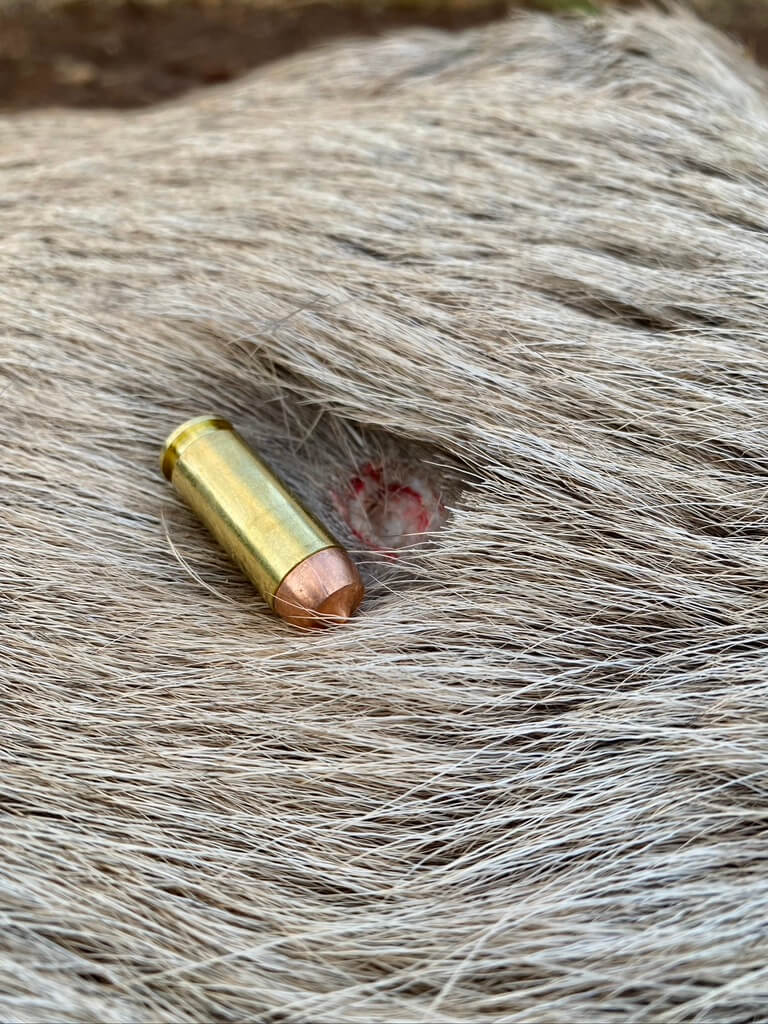 G9 Woodsman 10mm ammunition on entry wound in elk