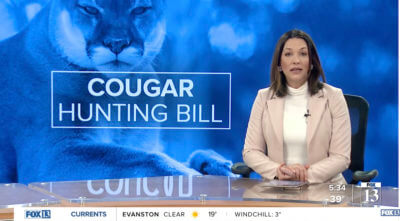 News telecast covering cougar hunting bill in Utah.