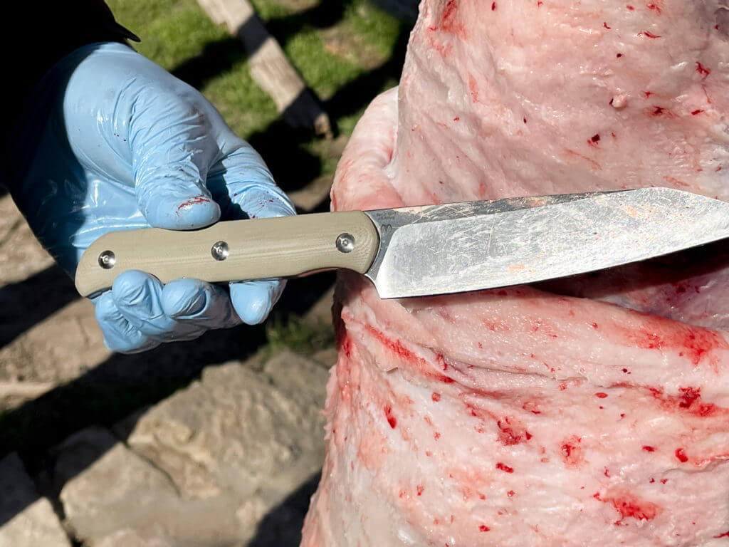 Simple Gourmet: Wild Boar Burritos (Yes, Really!) Simple Gourmet: Wild Boar Burritos (Yes, Really!)