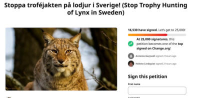 A change.org posting to stop Lynx hunt.
