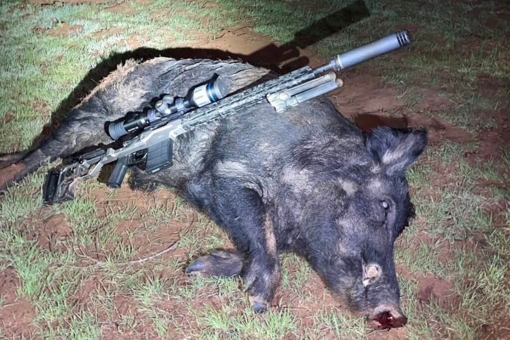 2 - Review: Christensen Arms MPR Put to the Test Dropping a lone boar with the Christensen Arms MPR topped with the Pulsar Thermion 2 XP50 Pro