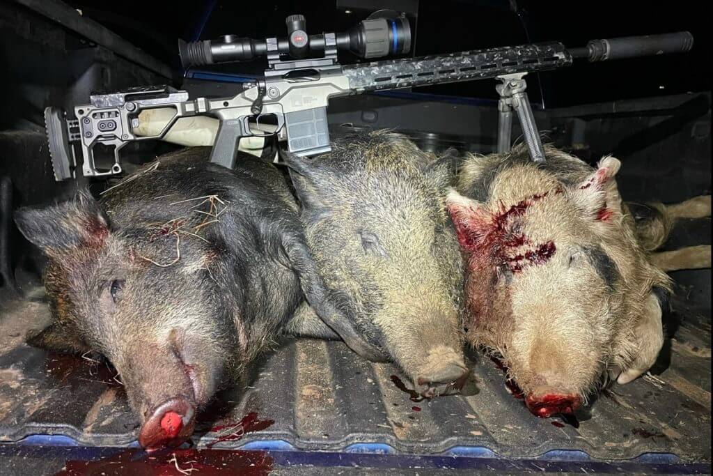2 - Review: Christensen Arms MPR Put to the Test Stacking more pigs with the Christensen Arms MPR topped with the Pulsar Thermion 2 XP50 Pro