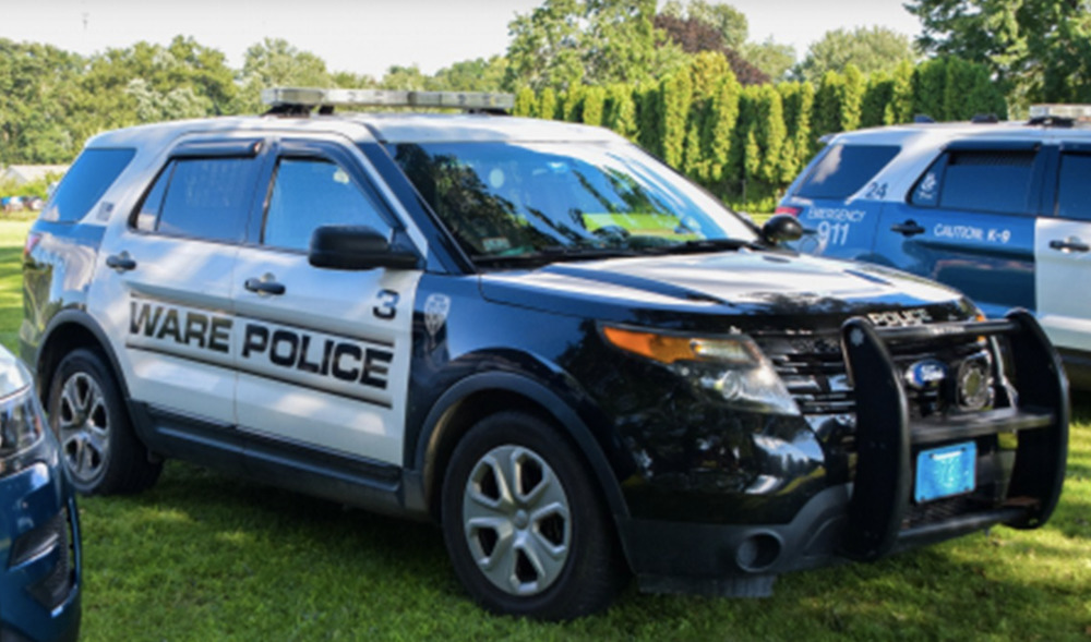 A police SUV on grass.
