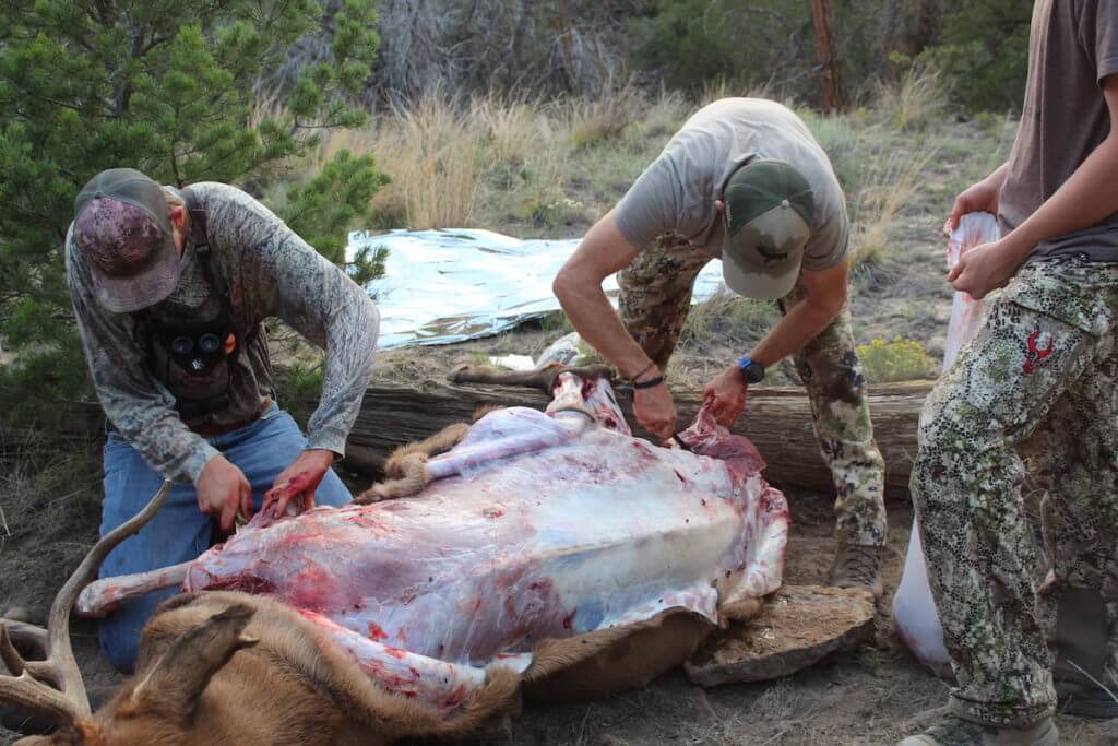 Hunters in the backcountry skinning their elk