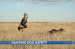Hunter with dog in the field.