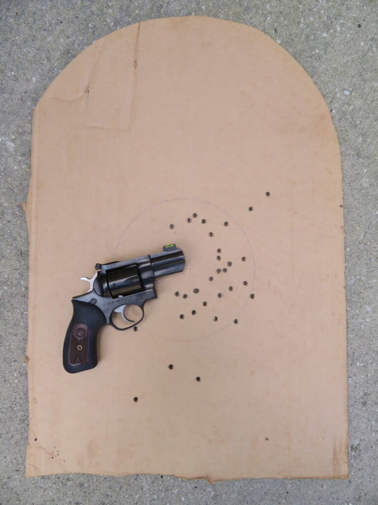 3 - Ruger Talo GP100: Every Day Carry 357 Magnum Ruger GP100 and tombstone target.