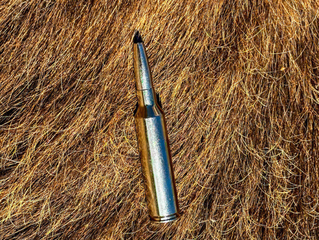 Browning Speed LR 7MM PRC Wins in the Field
