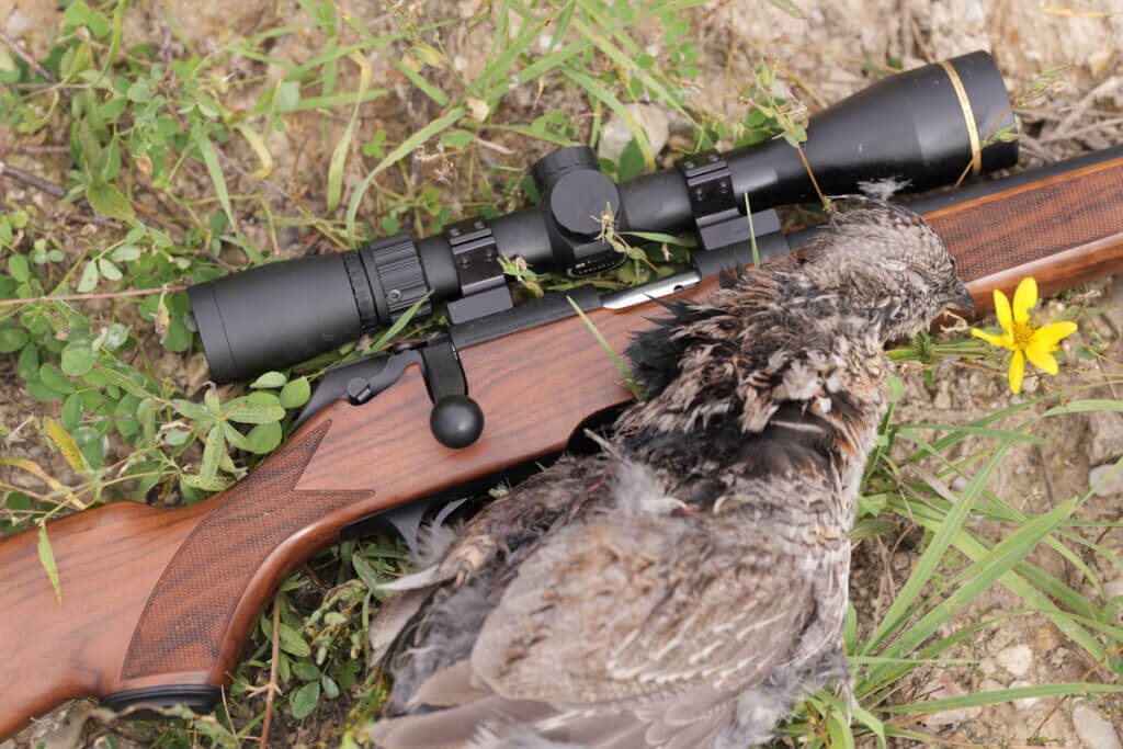Springfield's 2020 Rimfire Rifle on grass with bird