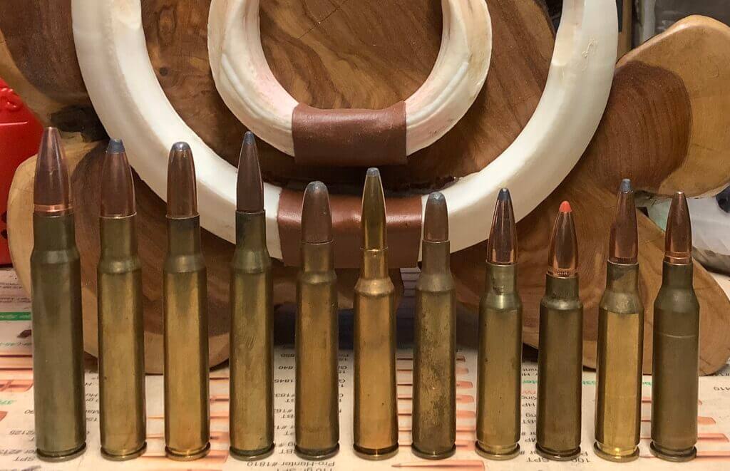 The Ideal Rifle caliber for Wild Boar rifle ammo