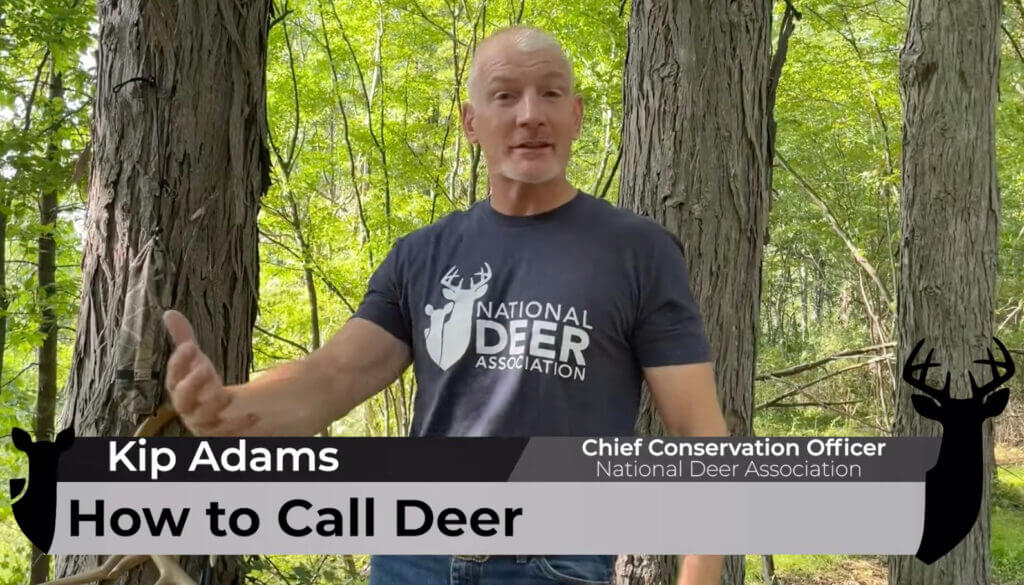 NDA: How to Call Deer! Kip Adams from NDA.