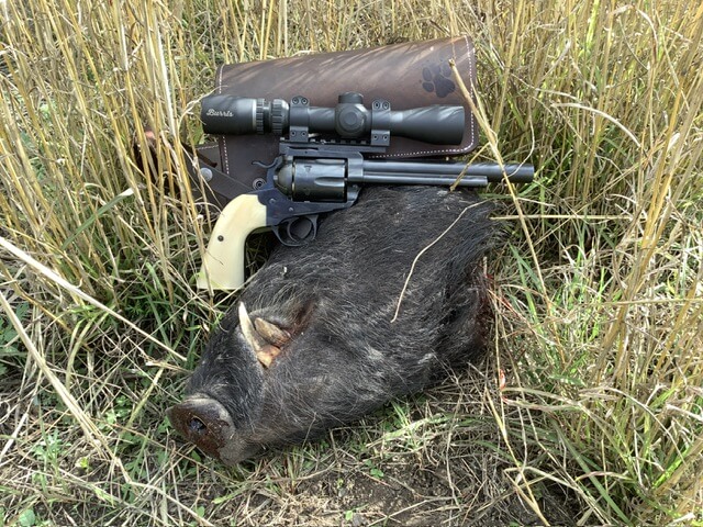 handgun Hunting wild boart