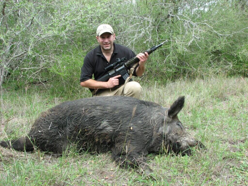wild boar hunting