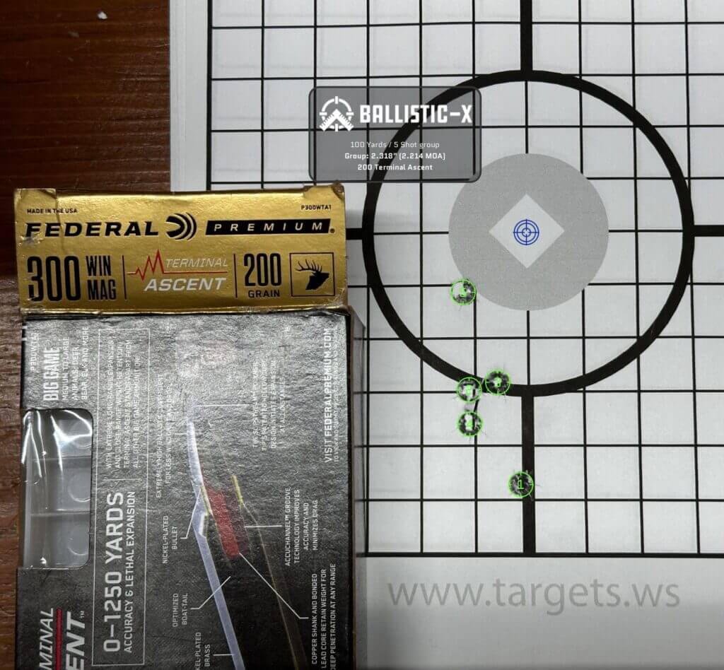 A 5-round group shows this rifle's accuracy.