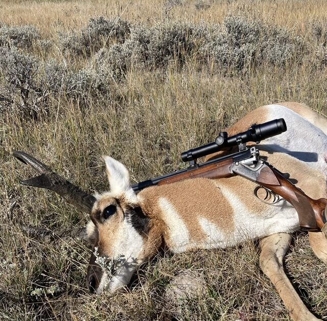 antelope and old school Merkel Combination gun, 16ga./7x65r