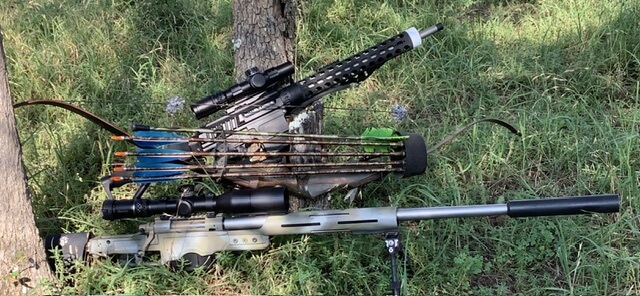 rifles and arrows leaning against a tree