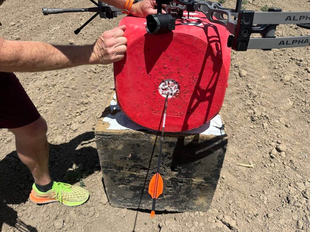 Archery target with arrow in it