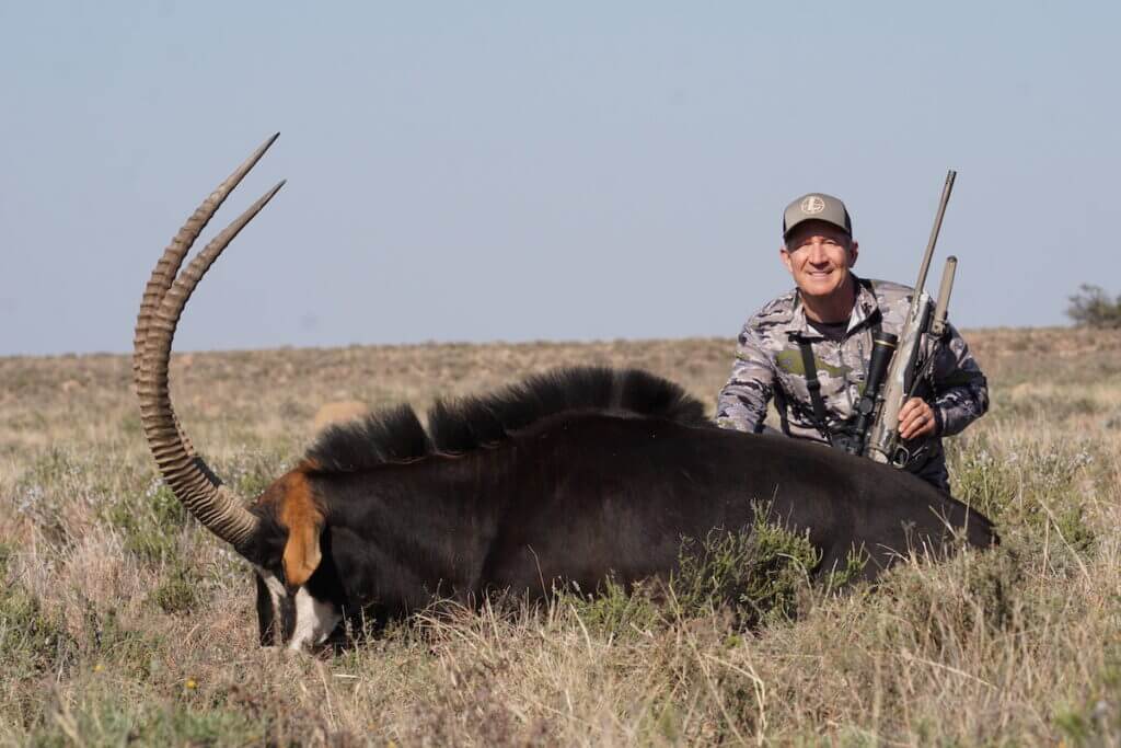 Hunter in grey field with large sable 
